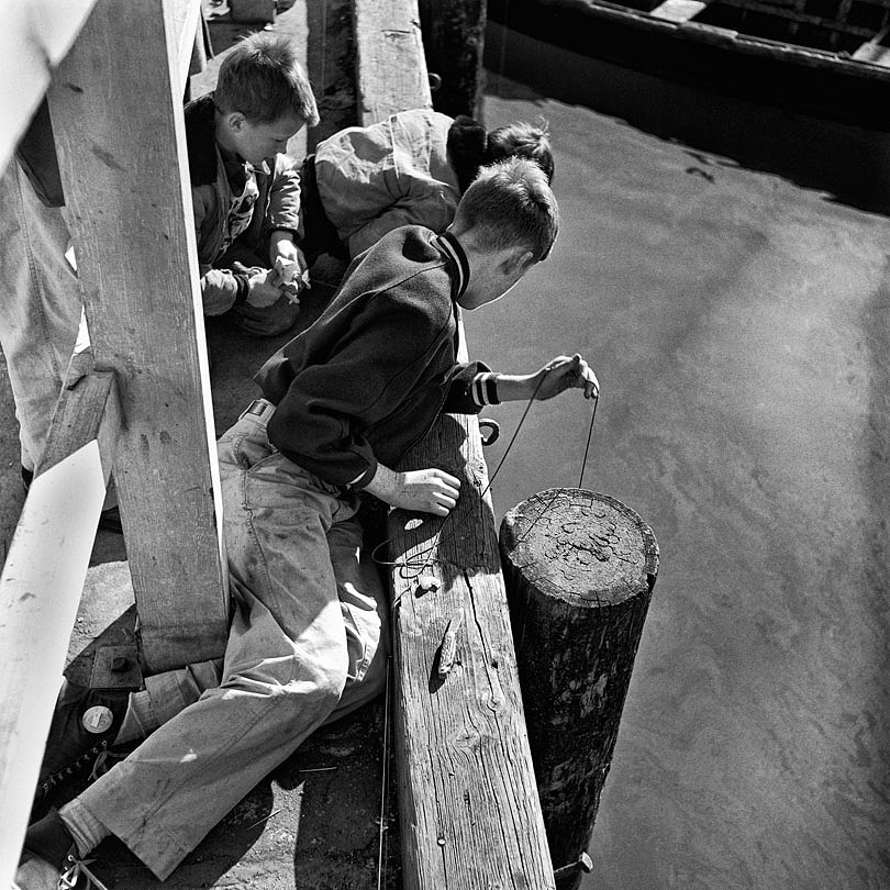 Boys Fishing on the Wharf 1954 Fred Lyon.jpg